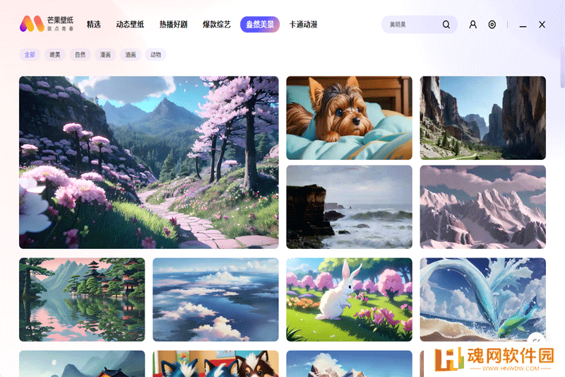 芒果壁纸标准版