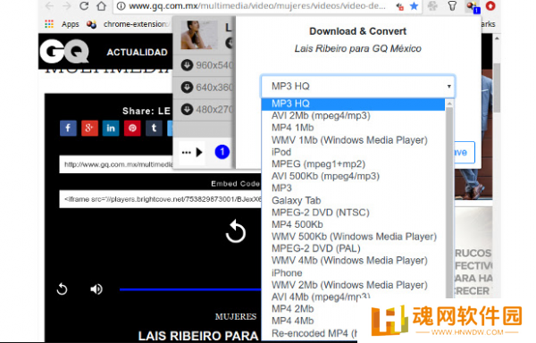Video DownloadHelper桌面版