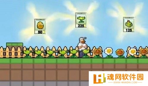 植物大战僵尸肉鸽版一坨马版