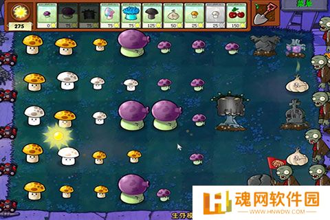 PVZ仿95