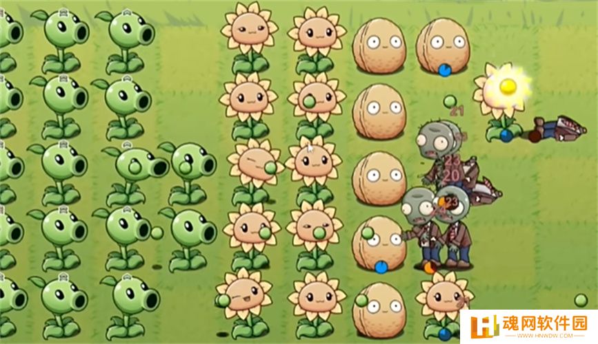 PVZLG