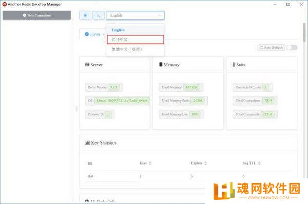 Another Redis DeskTop Manager简体中文版