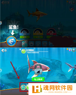 饥饿鲨：世界国际服