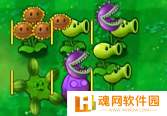 植物大战僵尸嫁接版