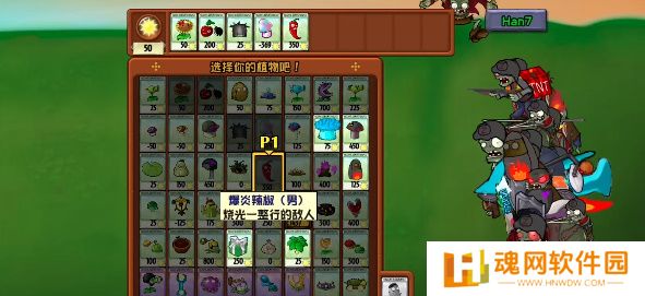 植物大战僵尸时空战争