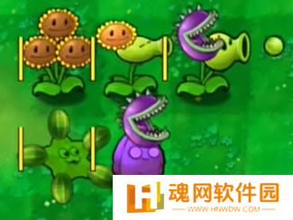 植物大战僵尸嫁接版